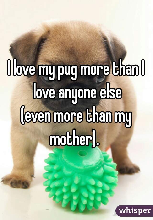 I love my pug more than I love anyone else
(even more than my mother).  