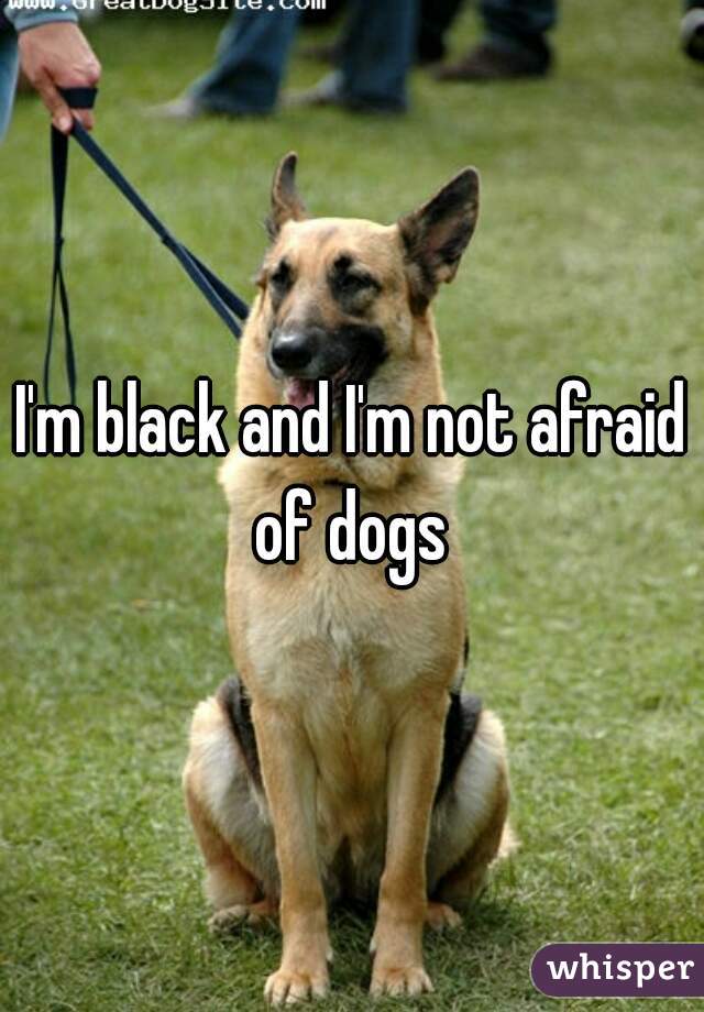 I'm black and I'm not afraid of dogs 