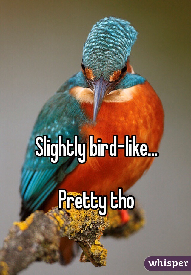 Slightly bird-like...

Pretty tho 