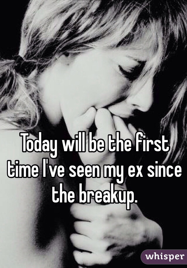 Today will be the first time I've seen my ex since the breakup. 