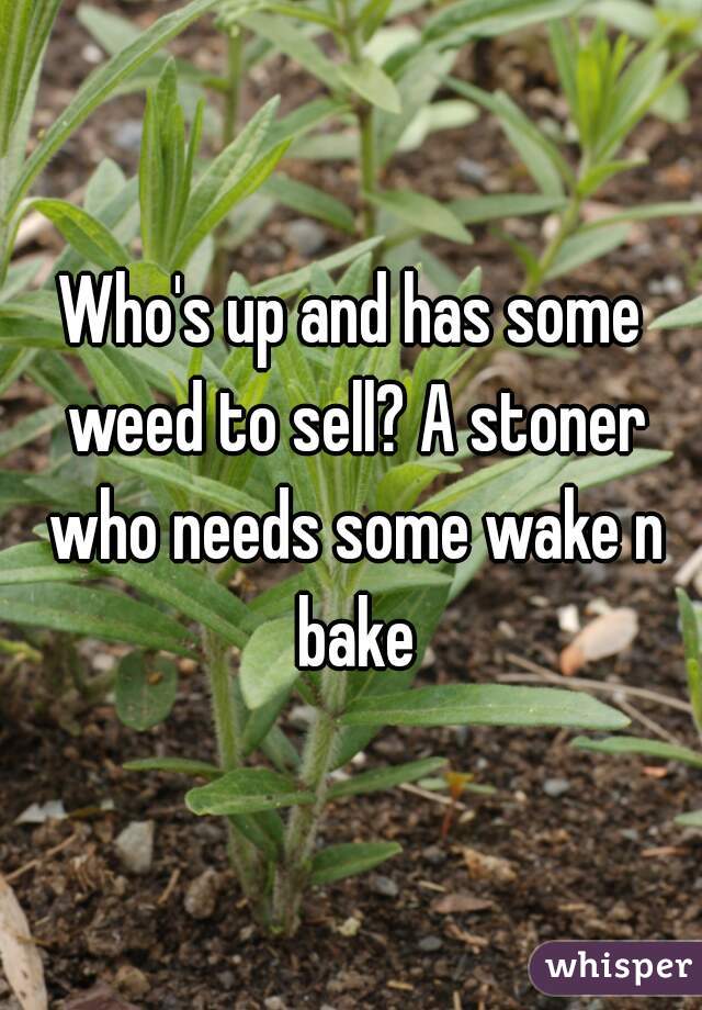 Who's up and has some weed to sell? A stoner who needs some wake n bake