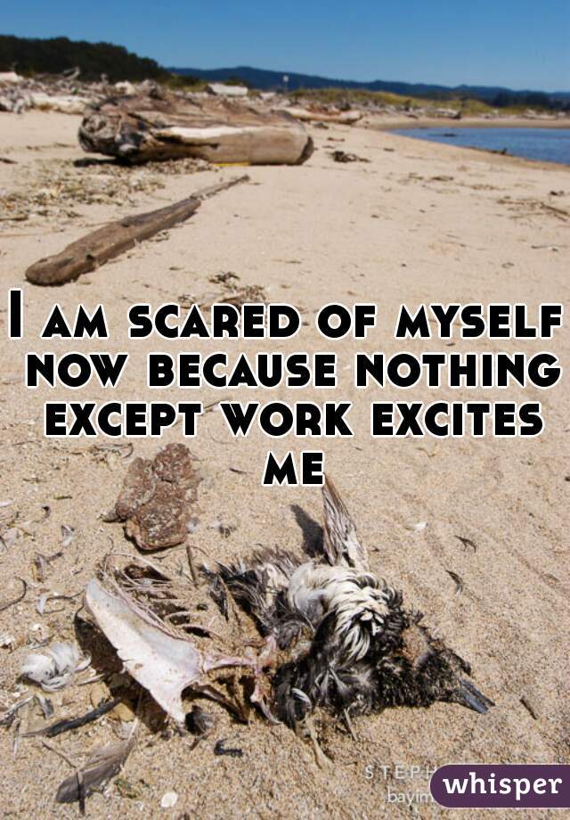 I am scared of myself now because nothing except work excites me