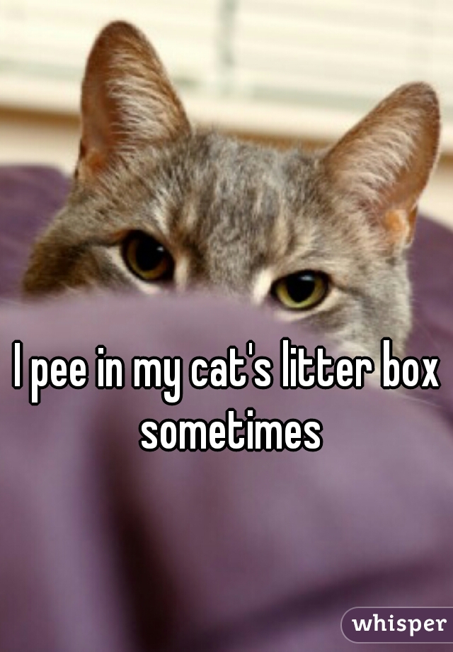 I pee in my cat's litter box sometimes