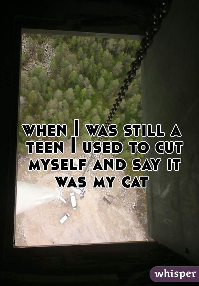 when I was still a teen I used to cut myself and say it was my cat 