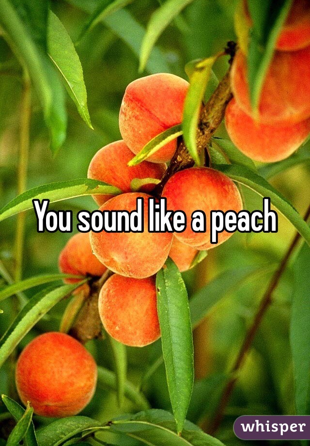You sound like a peach