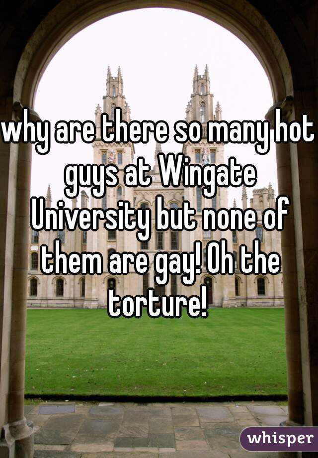 why are there so many hot guys at Wingate University but none of them are gay! Oh the torture! 
