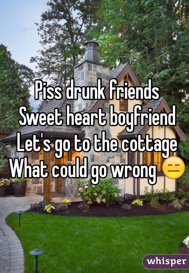 Piss drunk friends 
Sweet heart boyfriend 
Let's go to the cottage 
What could go wrong 😑