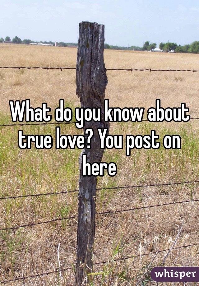 What do you know about true love? You post on here
