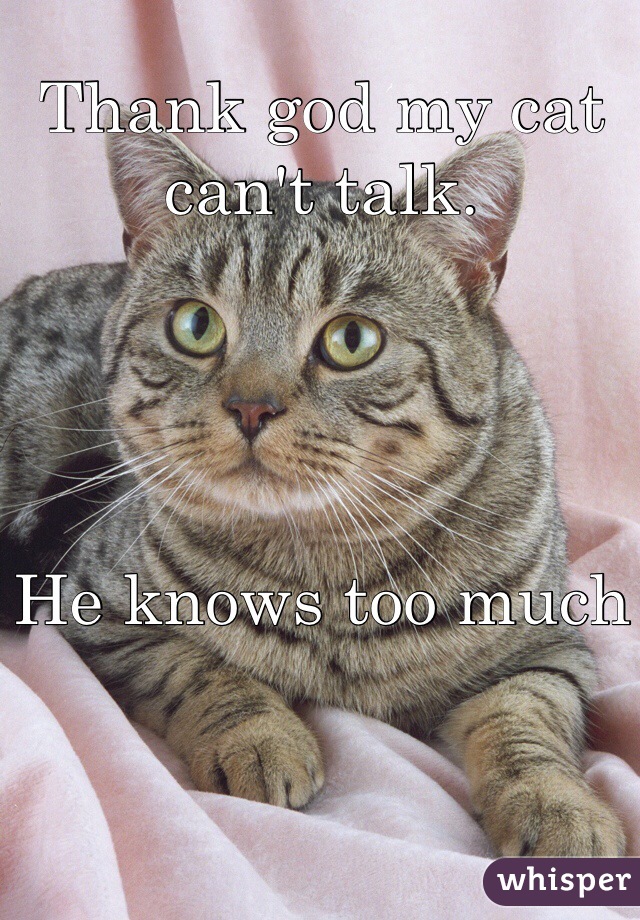Thank god my cat can't talk.




He knows too much
