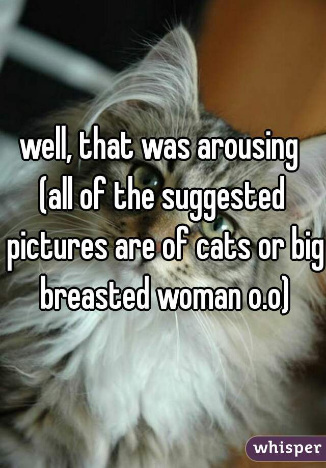 well, that was arousing 

(all of the suggested pictures are of cats or big breasted woman o.o)