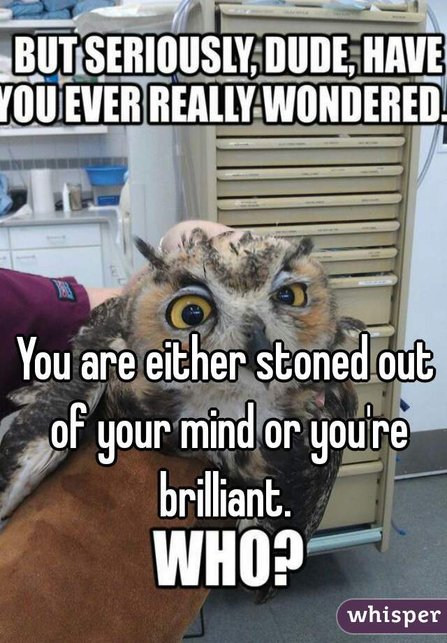 You are either stoned out of your mind or you're brilliant. 