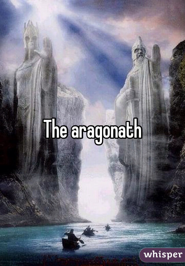 The aragonath