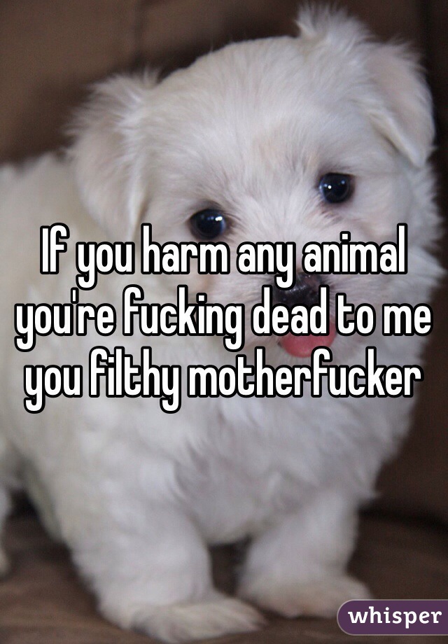 If you harm any animal you're fucking dead to me you filthy motherfucker 