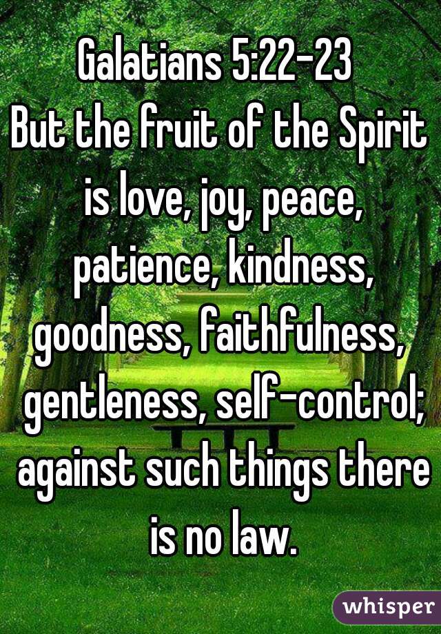 Galatians 5:22-23 
But the fruit of the Spirit is love, joy, peace, patience, kindness, goodness, faithfulness,  gentleness, self-control; against such things there is no law.