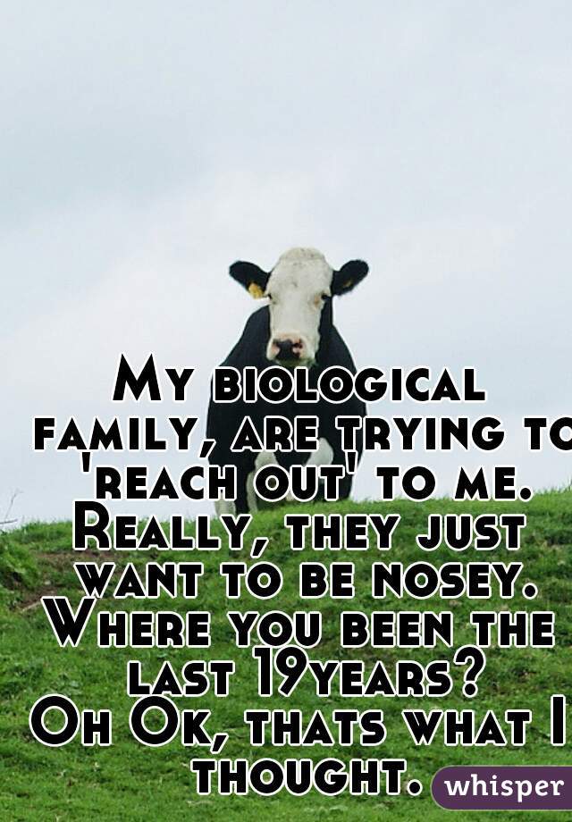 My biological family, are trying to 'reach out' to me.

Really, they just want to be nosey.

Where you been the last 19years?

Oh Ok, thats what I thought.