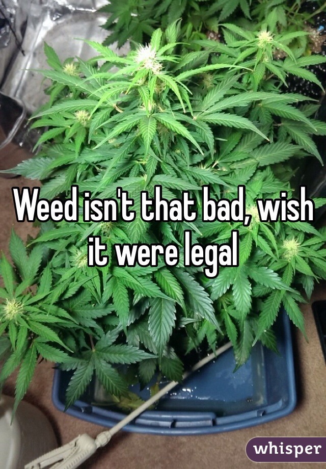 Weed isn't that bad, wish it were legal 