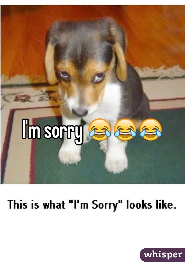 I'm sorry 😂😂😂