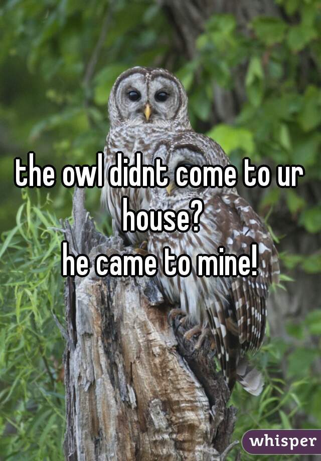 the owl didnt come to ur house?
he came to mine!