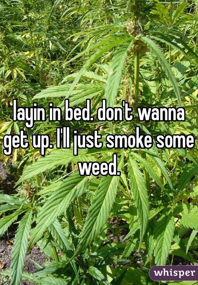 layin in bed. don't wanna get up. I'll just smoke some weed. 