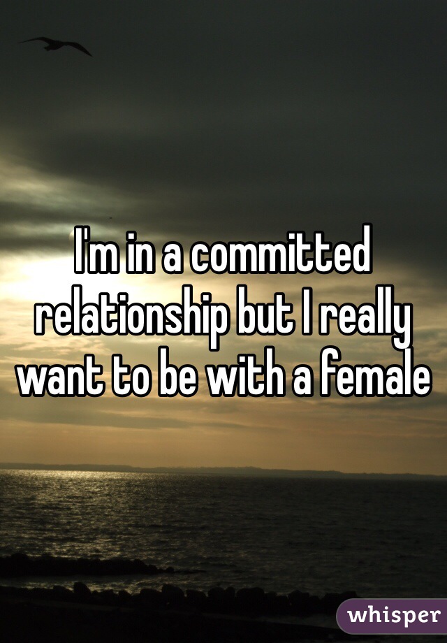 I'm in a committed relationship but I really want to be with a female 