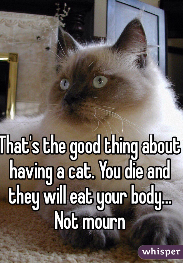 That's the good thing about having a cat. You die and they will eat your body... Not mourn