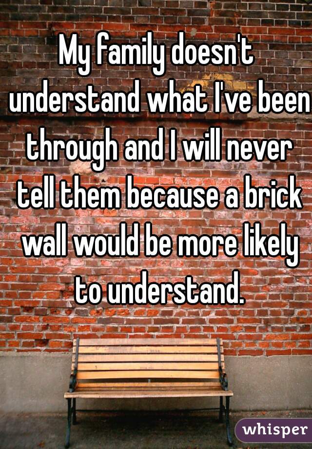 My family doesn't understand what I've been through and I will never tell them because a brick wall would be more likely to understand.