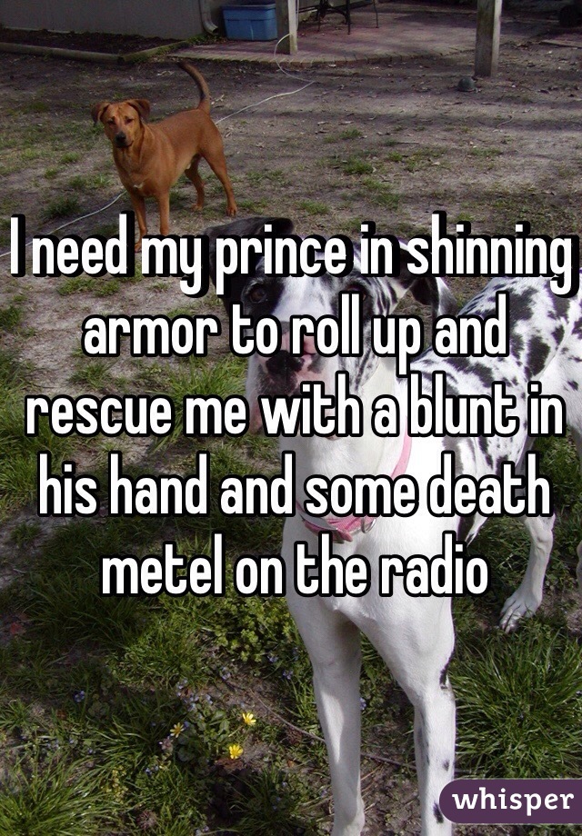 I need my prince in shinning armor to roll up and rescue me with a blunt in his hand and some death metel on the radio