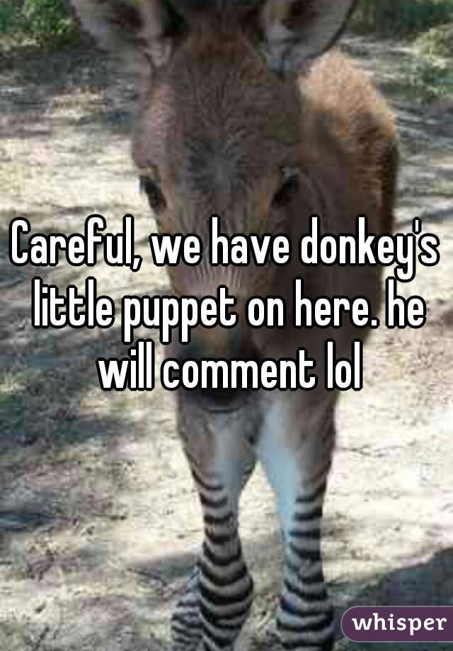 Careful, we have donkey's little puppet on here. he will comment lol