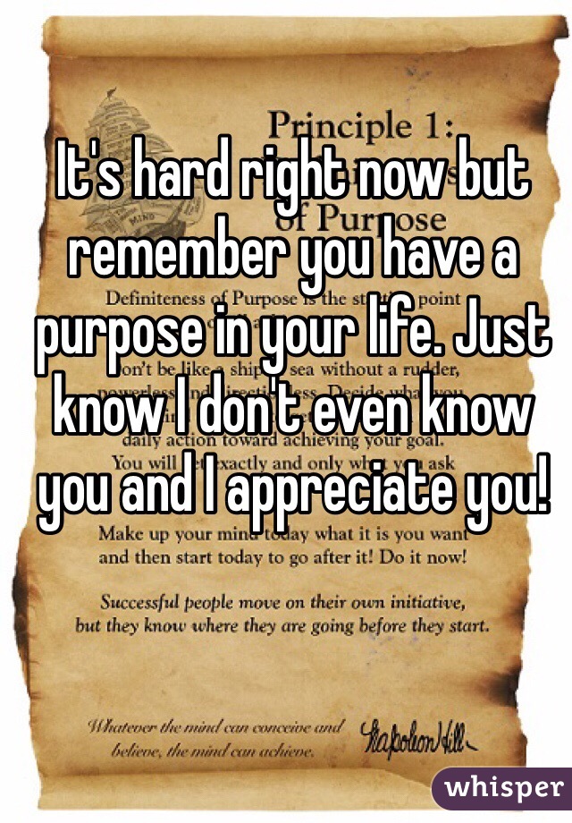 It's hard right now but remember you have a purpose in your life. Just know I don't even know you and I appreciate you! 