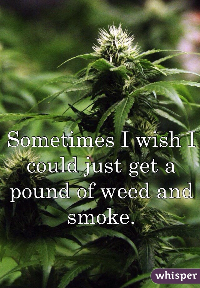 Sometimes I wish I could just get a pound of weed and smoke. 