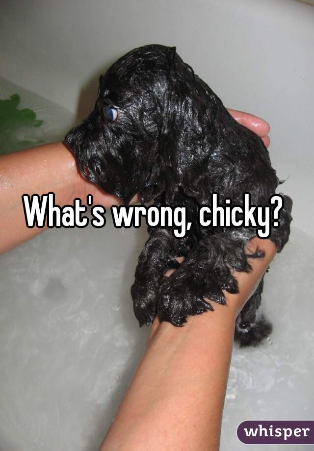 What's wrong, chicky? 