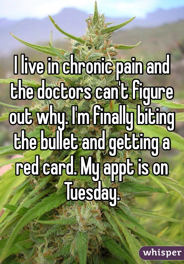 I live in chronic pain and the doctors can't figure out why. I'm finally biting the bullet and getting a red card. My appt is on Tuesday. 