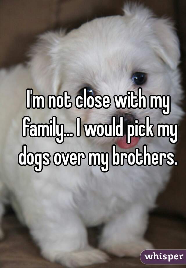 I'm not close with my family... I would pick my dogs over my brothers. 