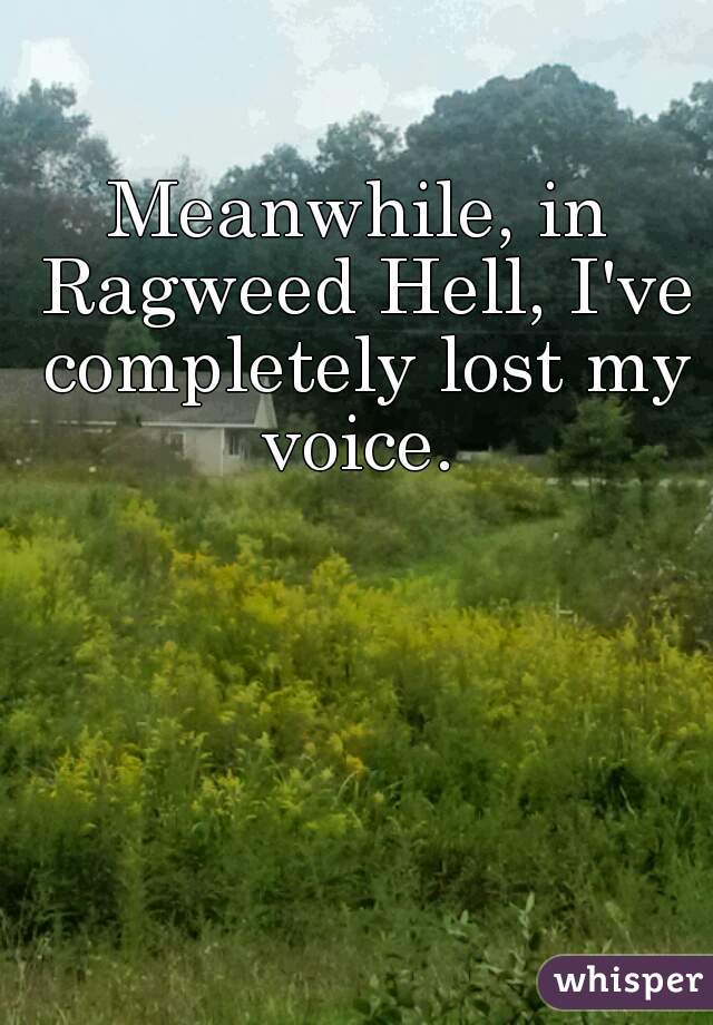 Meanwhile, in Ragweed Hell, I've completely lost my voice. 