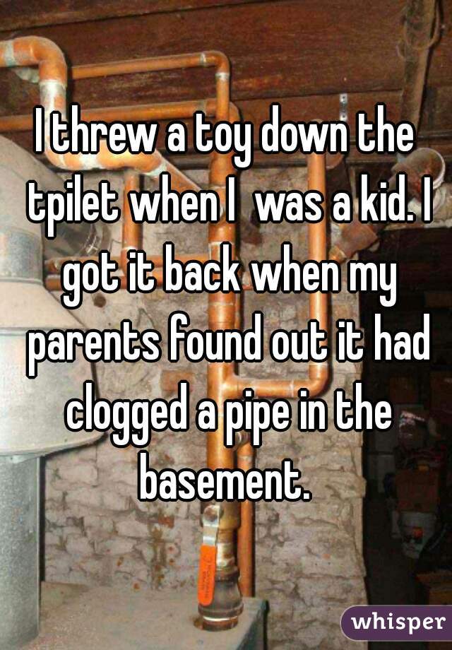 I threw a toy down the tpilet when I  was a kid. I got it back when my parents found out it had clogged a pipe in the basement. 