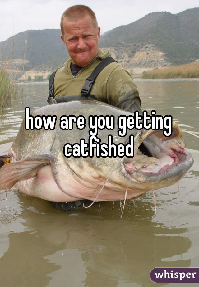 how are you getting catfished 