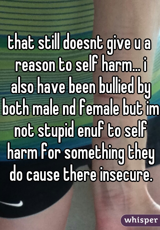 that still doesnt give u a reason to self harm... i also have been bullied by both male nd female but im not stupid enuf to self harm for something they do cause there insecure.