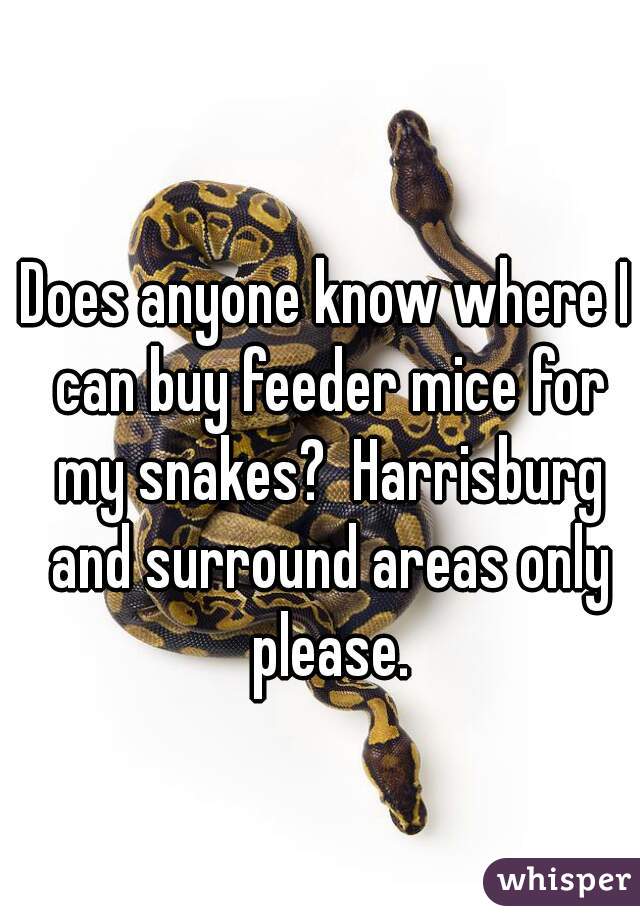 Does anyone know where I can buy feeder mice for my snakes?  Harrisburg and surround areas only please.