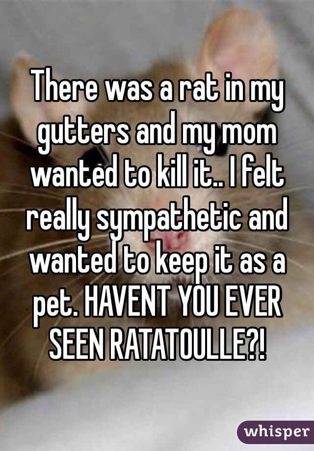 There was a rat in my gutters and my mom wanted to kill it.. I felt really sympathetic and wanted to keep it as a pet. HAVENT YOU EVER SEEN RATATOULLE?!