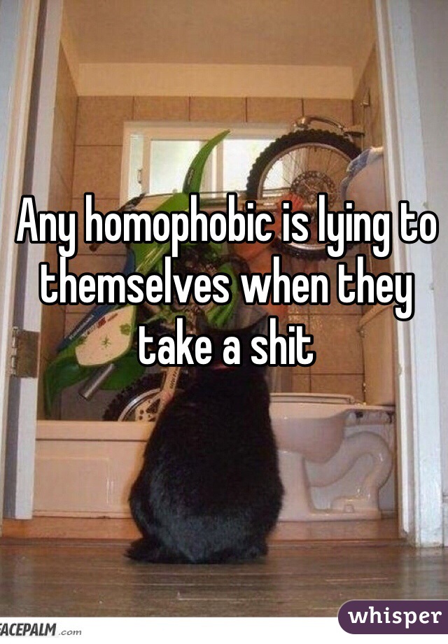 Any homophobic is lying to themselves when they take a shit