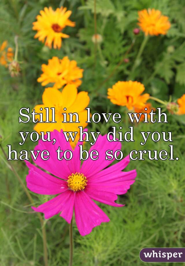 Still in love with you, why did you have to be so cruel. 