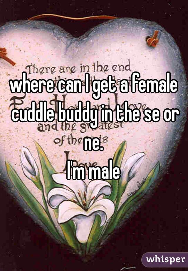 where can I get a female cuddle buddy in the se or ne. 

I'm male