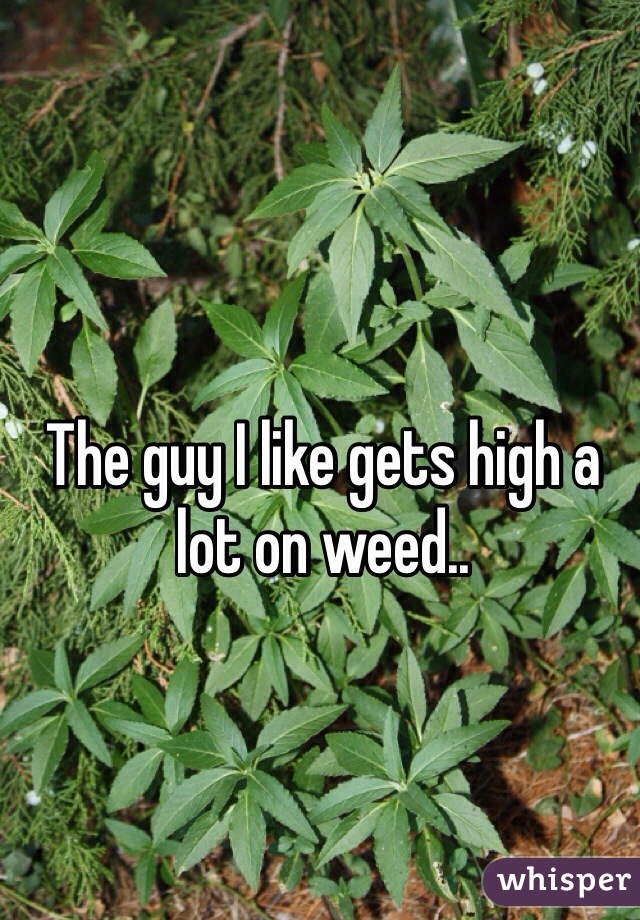 The guy I like gets high a lot on weed.. 