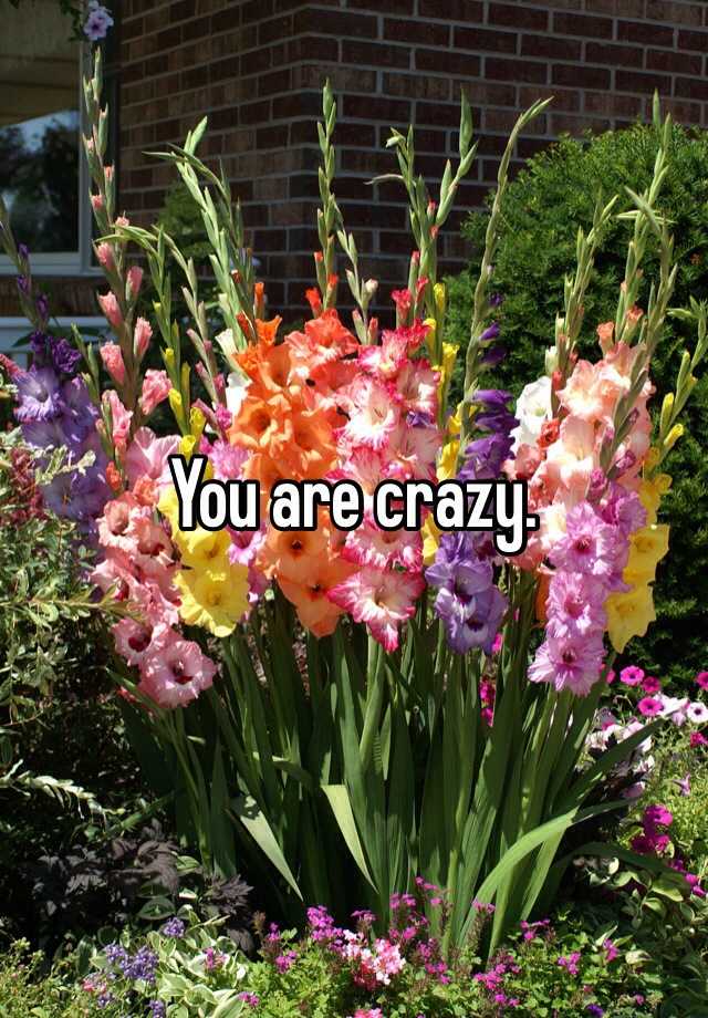 you-are-crazy