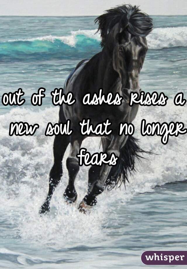 out of the ashes rises a new soul that no longer fears