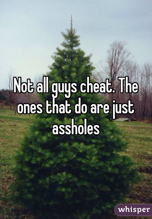 Not all guys cheat. The ones that do are just assholes