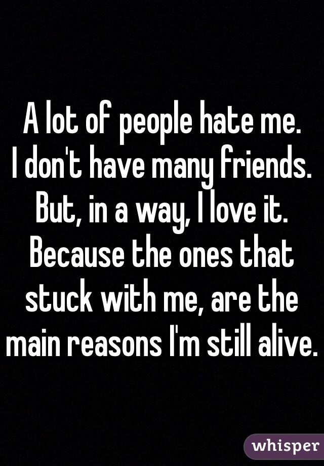 A lot of people hate me.
I don't have many friends.
But, in a way, I love it.
Because the ones that stuck with me, are the main reasons I'm still alive. 
