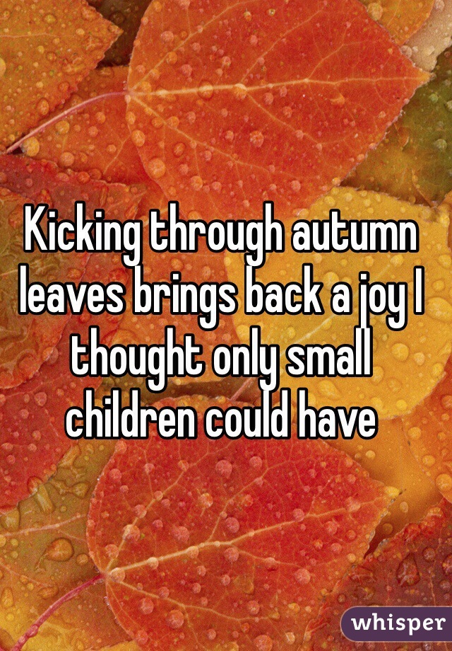Kicking through autumn leaves brings back a joy I thought only small children could have