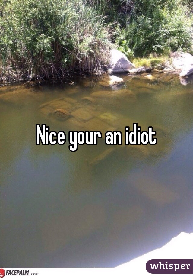 Nice your an idiot