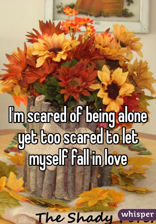I'm scared of being alone yet too scared to let myself fall in love 